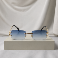 Lunette Carter XS